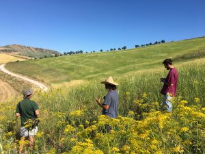 agricultores-grupo-aacion-compartida-ronda