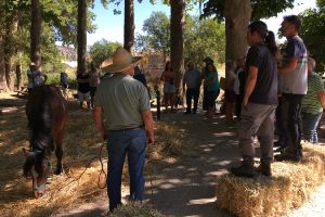 Presentación de las II Jornadas de Cereales Andaluza celebradas el pasado Junio en Cuevas del Becerro